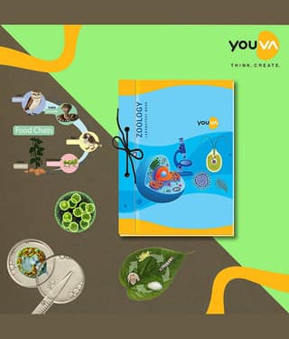 Navneet Youva - Plain Hardcover Executives Notebooks ( Pack of 3 )