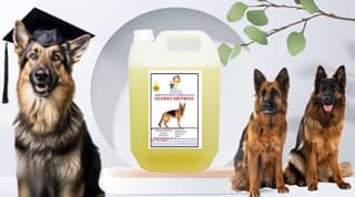 SWACCH Shampoo Specially FORMULATED for German Shepherd (5 Litre) Lemon