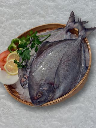Halwa Fish 1 Kg