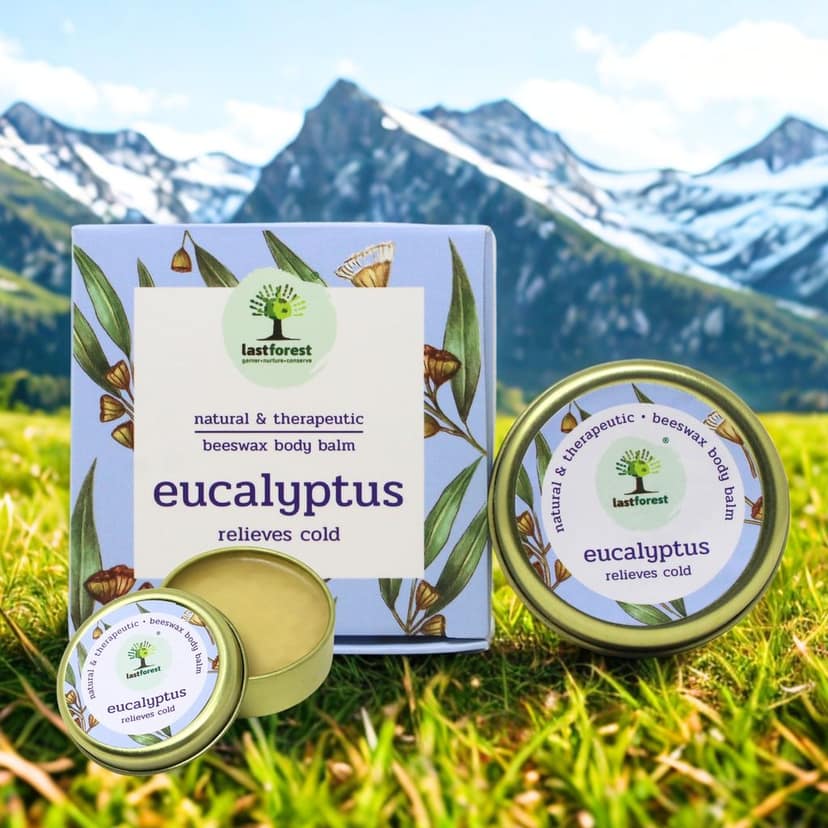 Therapeutic Beeswax Balm Eucalyptus (Relives Cold), 20g