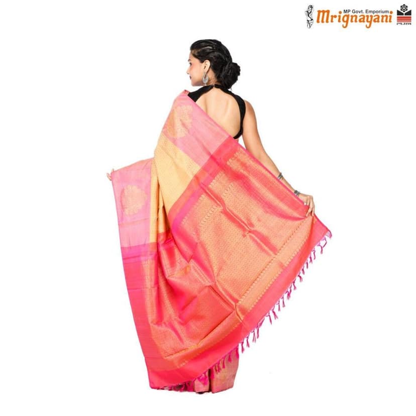 HANDLOOM KANCHIPURAM SILK SAREE WITH BLOUSE (SKU - 3N0131070622, SAREE-1132) view 4