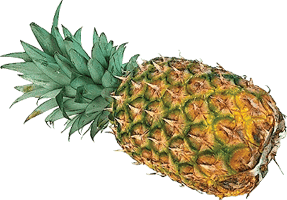 Pineapple 1 pc