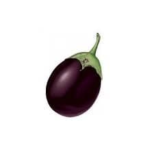 BRINJAL (EGGPLANT) ROUND BHARTA