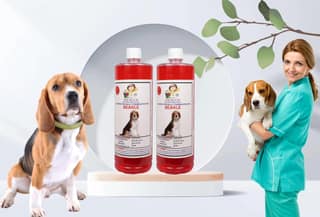 Swacch Shampoo Specially Formulated for Beagle (1 Litre) (Pack of 2) Jasmine