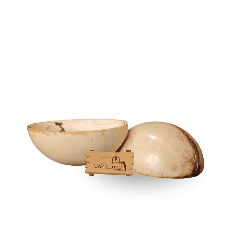CocoLand Coconut Shell Pudding Pot Oval Shape (150-250 ml) M-L Size Coconut Oil Polished