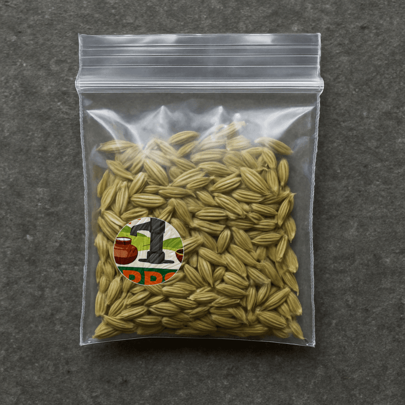 Rajkumari Provision Store's saunf (fennel seeds)