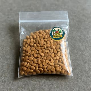 Premraj Suna Gallery's fenugreek seeds