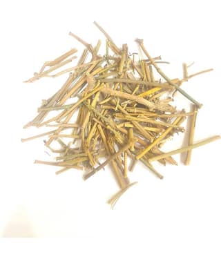 Nutrixia Food Somlata Somlata – सोमलता Raw Herbs 100 gm