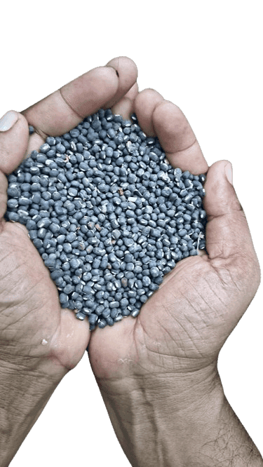 Premium Whole Black Gram (Urad Dal) view 3