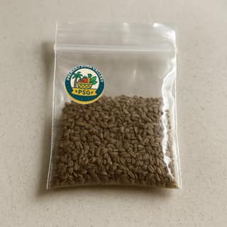 Premraj Suna Gallery's ajwain seeds