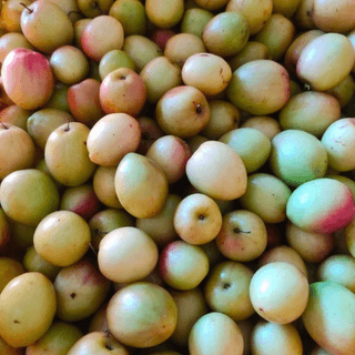Apple Bogori - 1 kg - Per Kg