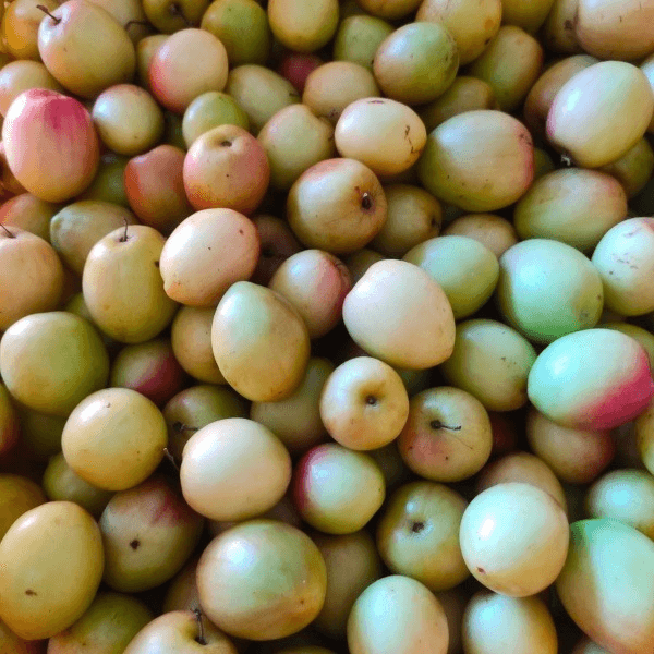 Apple Bogori - 1 kg - Per Kg view 2