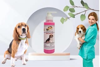 SWACCH Premium Shampoo for Beagle (200ML) Rose