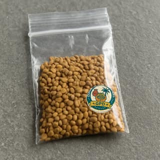 GOLLORI PARVATHI Dukaan's fenugreek seeds