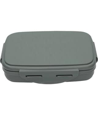 Jaypee - Green Stainless Steel Lunch Box ( Pack of 1 )