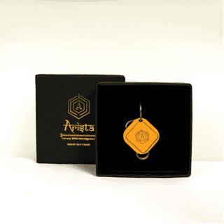 Arista Vault Orange Smart Keychain