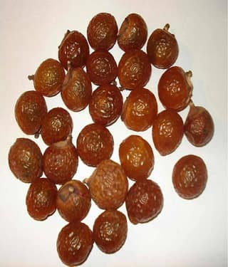 MYGODGIFT Organic Whole Dried Reetha/Ritha/Arith/Areetha Raw Form For Hairs 100 gm