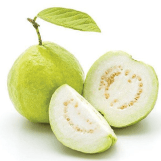 SS GUAVA WHITE