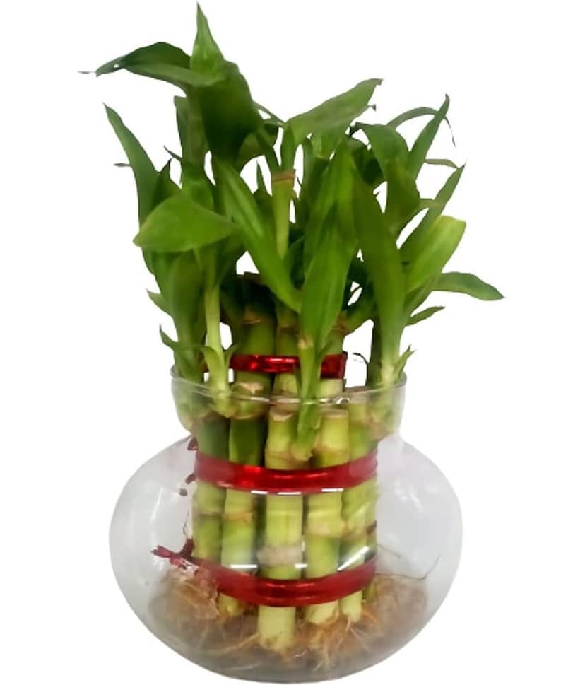 Green plant indoor - Green Wild Artificial Flowers With Pot ( Pack of 1 )