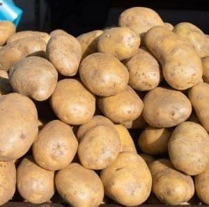 Potato view 3