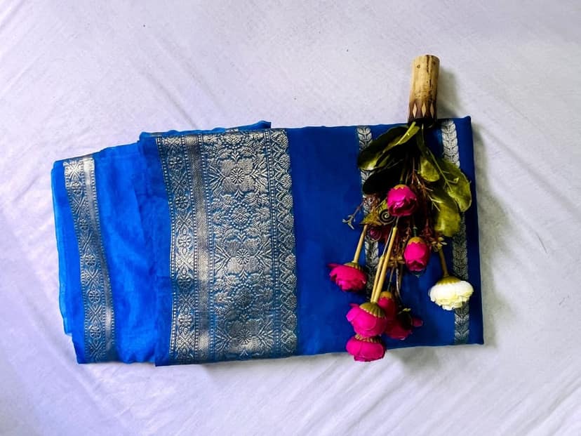 AP MEPMA ORGANZA SAREE view 4