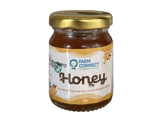 Organic Honey - 70g