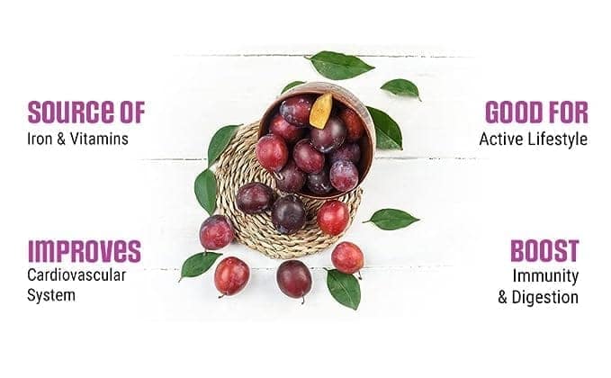 Bazana Premium Californian Prunes - 210g | Dried Plums Superfood | Antioxidant-Rich Nutrient Powerhouse - Delicious and Nourishing view 5