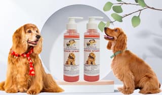 SWACCH Premium Shampoo for Cocker Spaniel (200ML) (Pack of 2) STRAWBERY