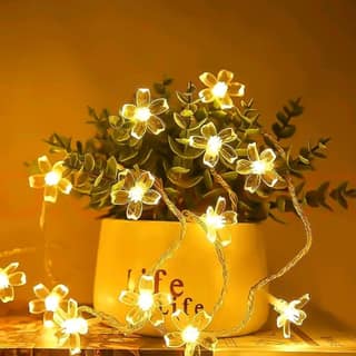 GLOWSERIE Elegant Flower-Shaped LED Lights Ambient Fairy Lighting for Bedroom & Events