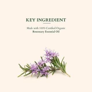 Lotus Organics+ Hair Fall Control Revival Mask (150 G) view 2