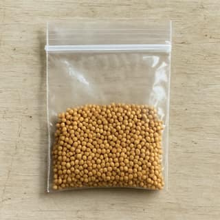 Geeta Traders's organic mustard seeds