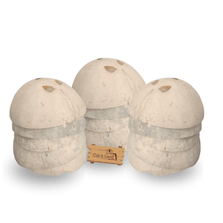Coco Land White Holed Coconut Shell Finished Raw Craft | Decorative Pots,Craft Making | Handicraft,Agricraft