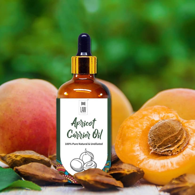Apricot Carrier Oil view 4