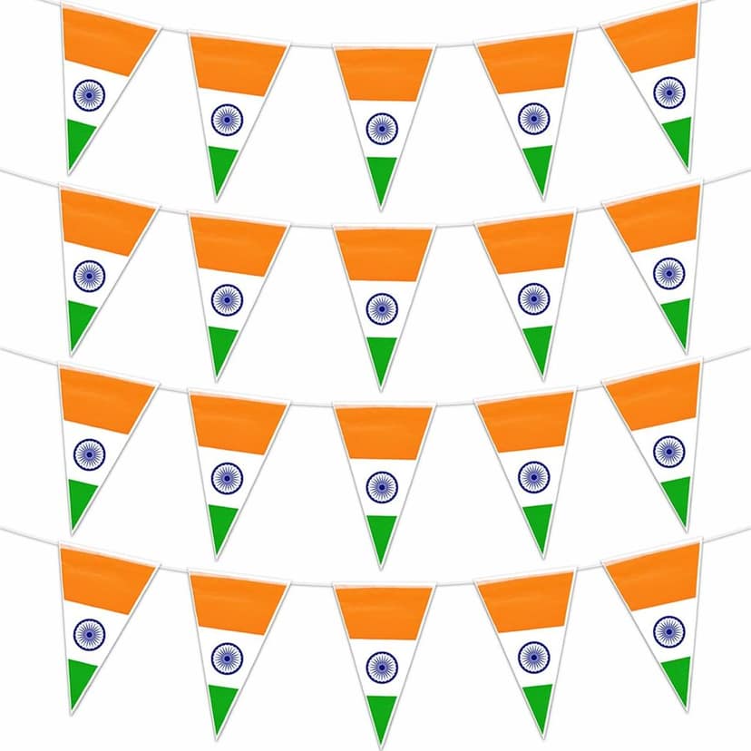 Tricolor Hanging Bunting Flag Pack of 2
