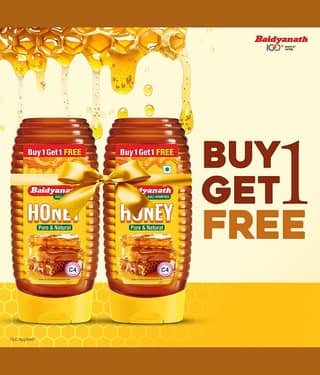 Baidyanath Squeeze Honey 400gm (Pack of 2)