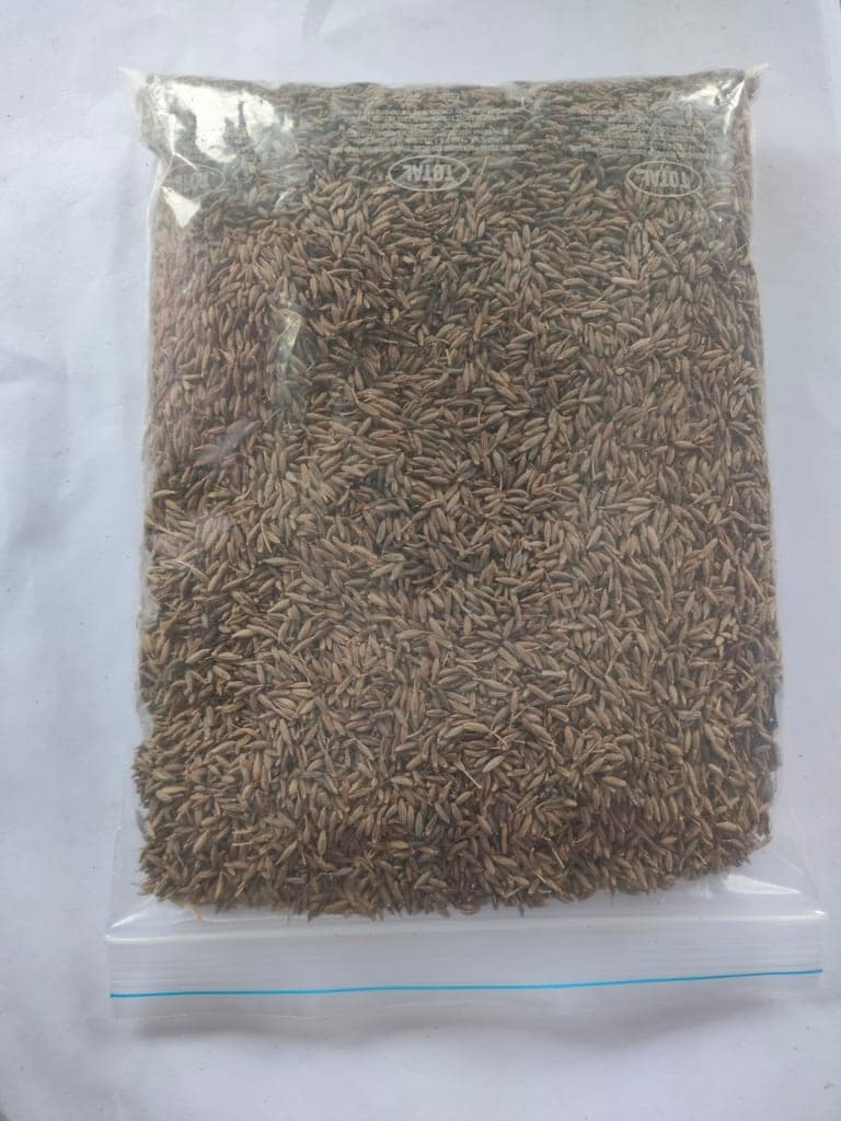Whole Cumin(Jeera) view 3