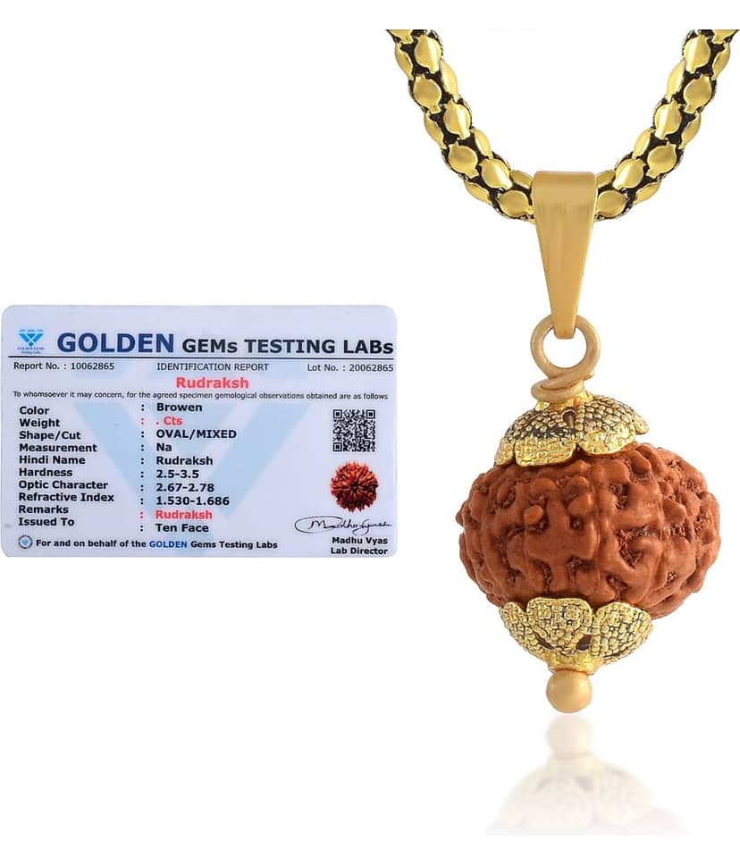 ADMIER 10 Mukhi Rudraksha Pendant With Chain ( Pack of 1 )
