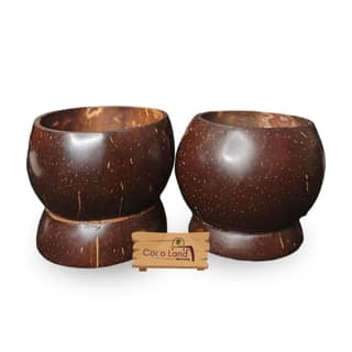 CocoLand Coconut Shell Cocktail Pot 400 ml