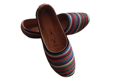 Rajasthani Handmade Leather Mojadi view 2