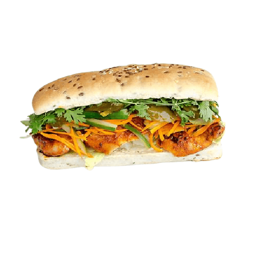 Grilled Chicken Panini Non Veg