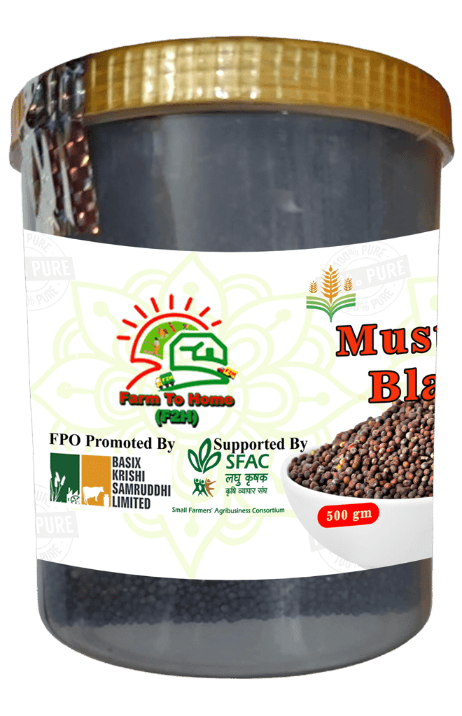 Mustard Black Seeds 500gm - 100% Pure and Natural view 3