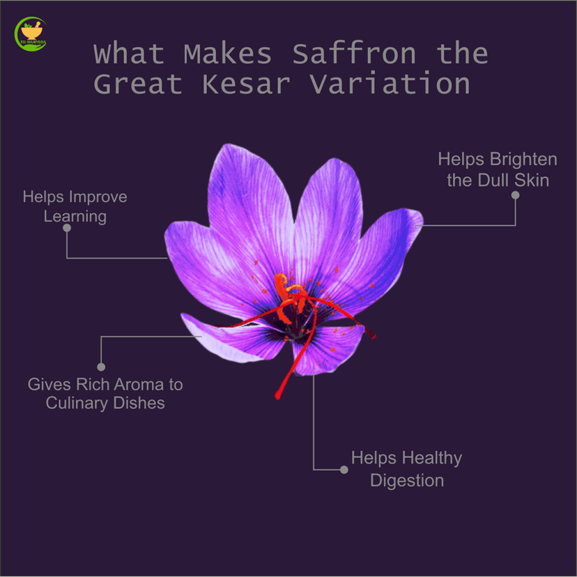 FIJ AYURVEDA Pure & Natural A++ Grade Kashmiri Saffron Threads |Original Kesar| / Kesar/Keshar/Zafran/Jafran for Men & Women – 1GM view 4