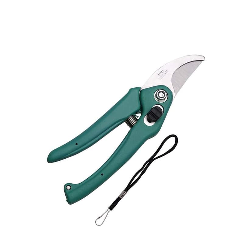 DHRUVINSRI Garden Shears and Pruning Scissors for Cutting Branches, Flowers, Leaves, and Trimming Plants-1 pc view 3