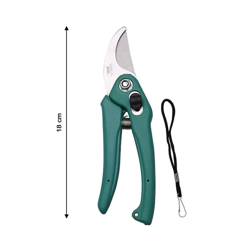 DHRUVINSRI Garden Shears and Pruning Scissors for Cutting Branches, Flowers, Leaves, and Trimming Plants-1 pc view 4
