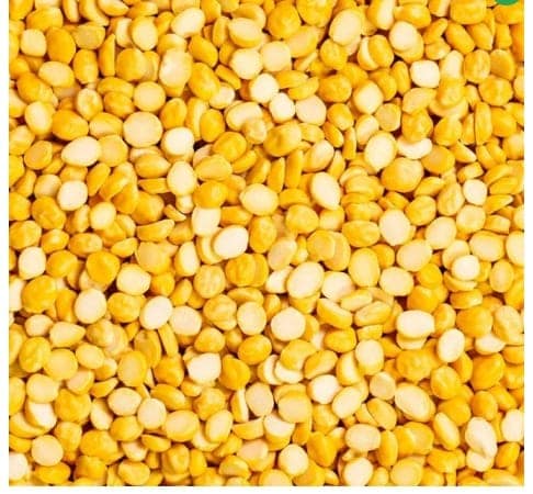 BENGAL GARM DHAL view 2