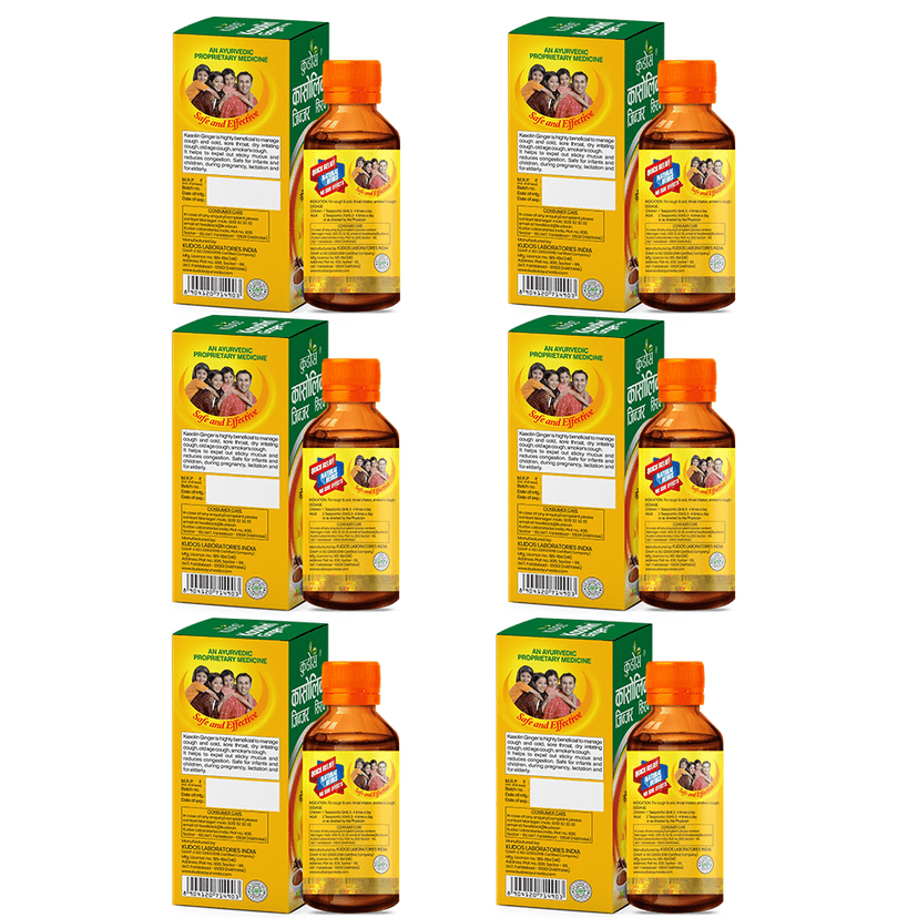 Kudos Kasolin Ginger Syrup | Ayurvedic Medicine for Cough & Sore Throat Relief | 100 ml | Pack of 6 view 2