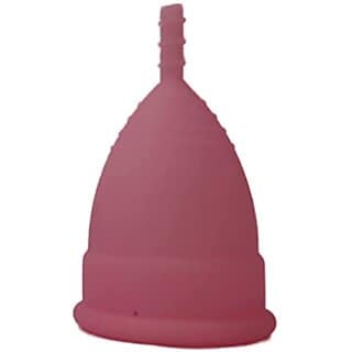 FAIRBIZPS Menstrual Cup Period Cup Reusable Ultra Soft Flexible Medical Grade Menstrual Cup for Women (Medium)