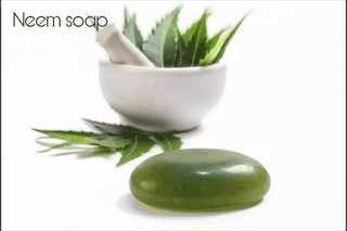 Laksh Herbal Products Neem Tulsi Soap 1pc
