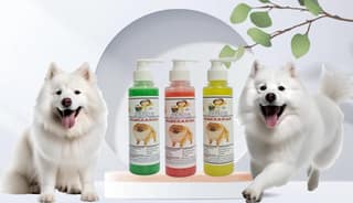 SWACCH Premium Shampoo for Pomeranian (200ML) (Combo Pack of 3) NEEM ALOVERA, Jasmine & Lemon