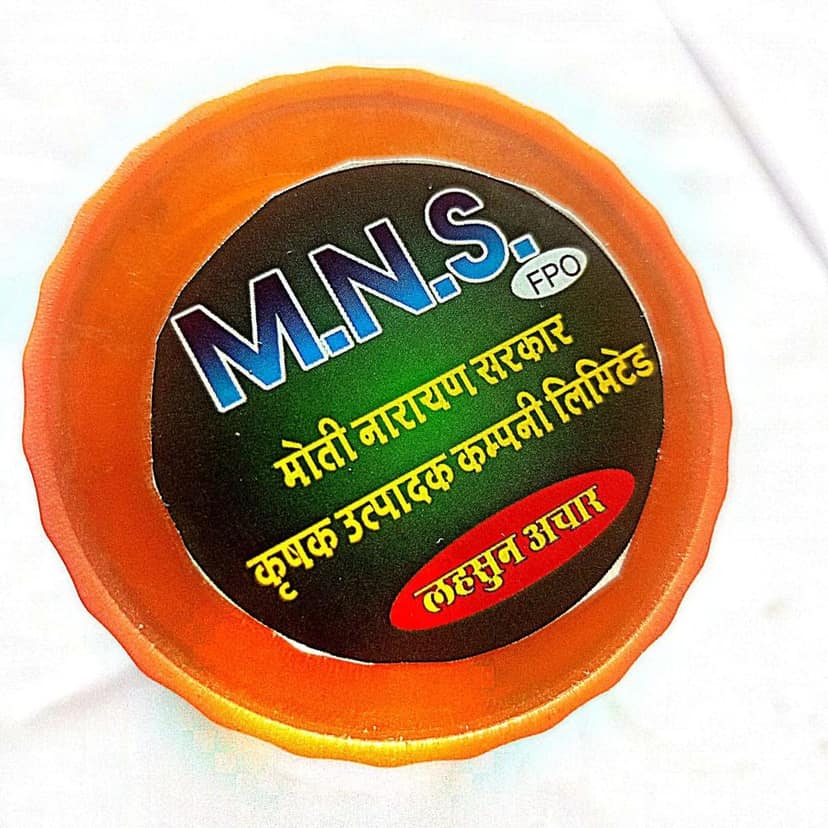 Bundelkhandi Lahsun Achar (pack of 5) view 4